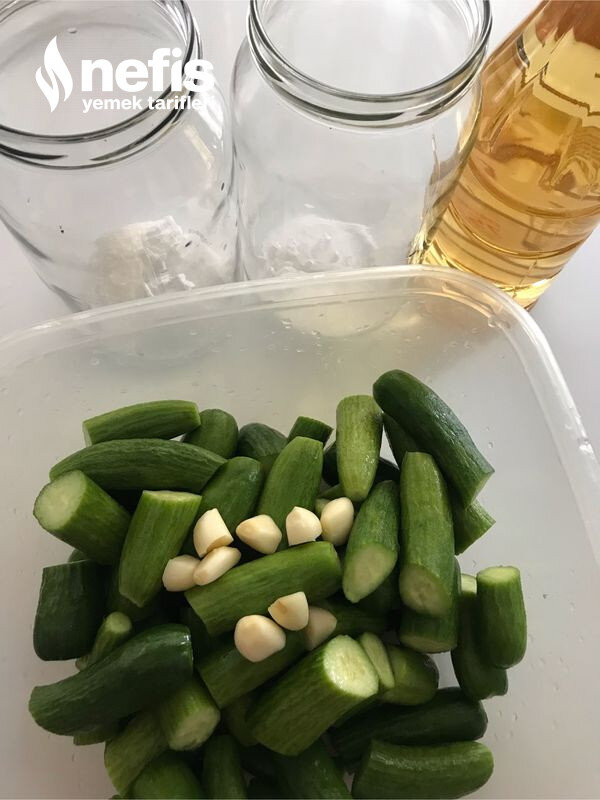 Kolay Yaz Turşusu